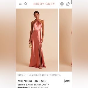 Birdy Grey Monica Dress in Shiny Satin Terracota